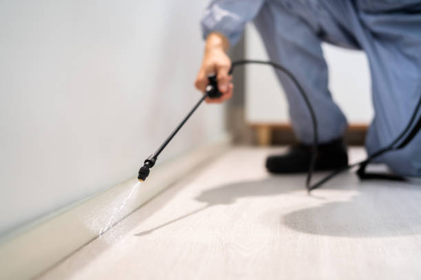 Licensed Pest Control service in Bristow, OK - Show Me Pest Control